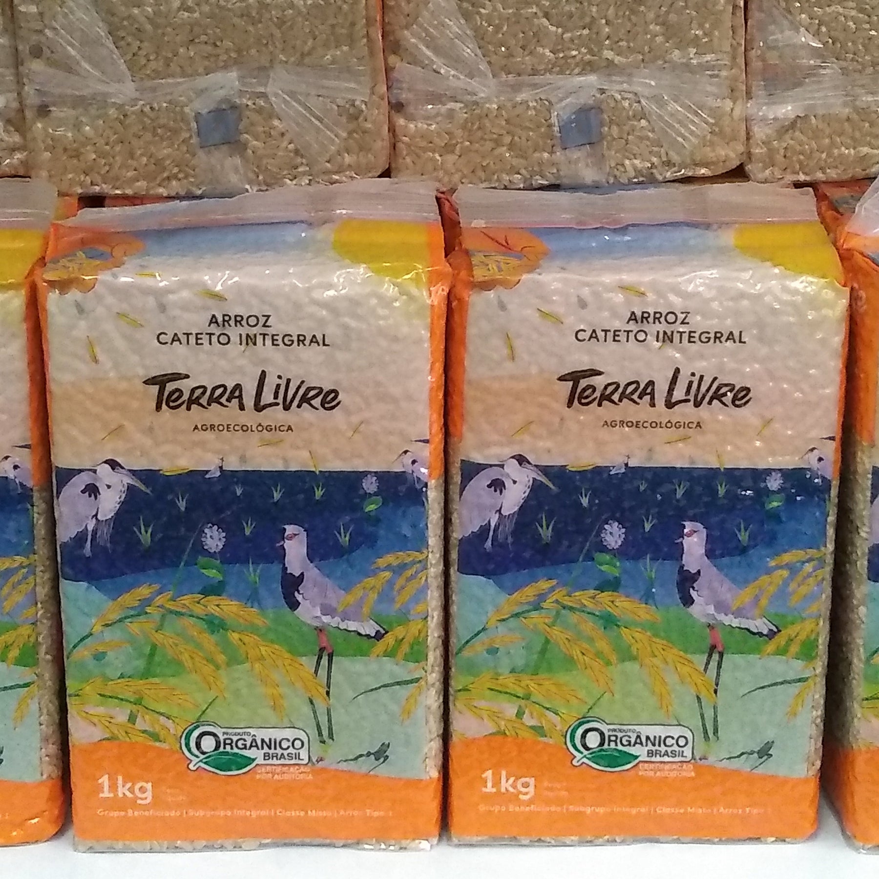 ARROZ CATETO INTEGRAL TERRA LIVRE AGROECOLÓGICA 1 KG