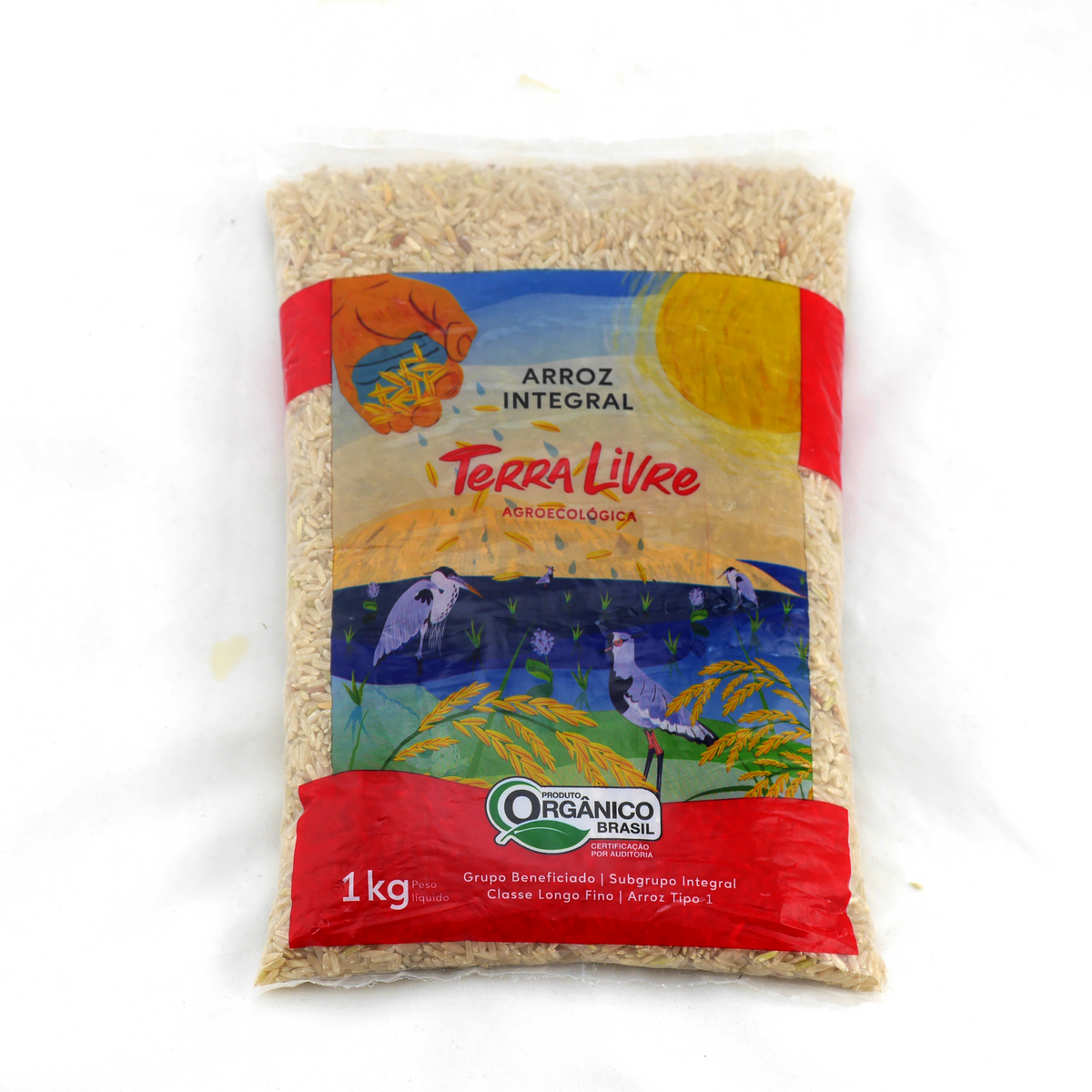 ARROZ INTEGRAL ORGÂNICO TERRA LIVRE BARRIGA MOLE 1KG