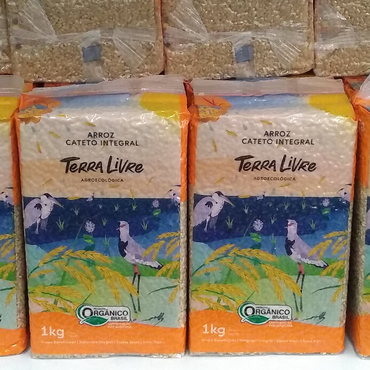 ARROZ CATETO INTEGRAL TERRA LIVRE AGROECOLÓGICA 1 KG