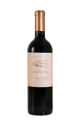 Viapiana Barricas Selecionadas – Lote VI